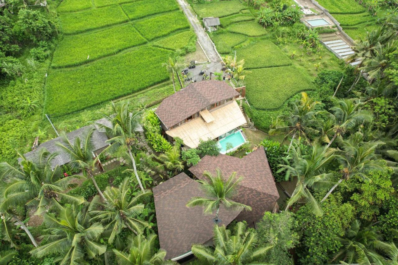 Casa Pohon Ubud Esterno foto