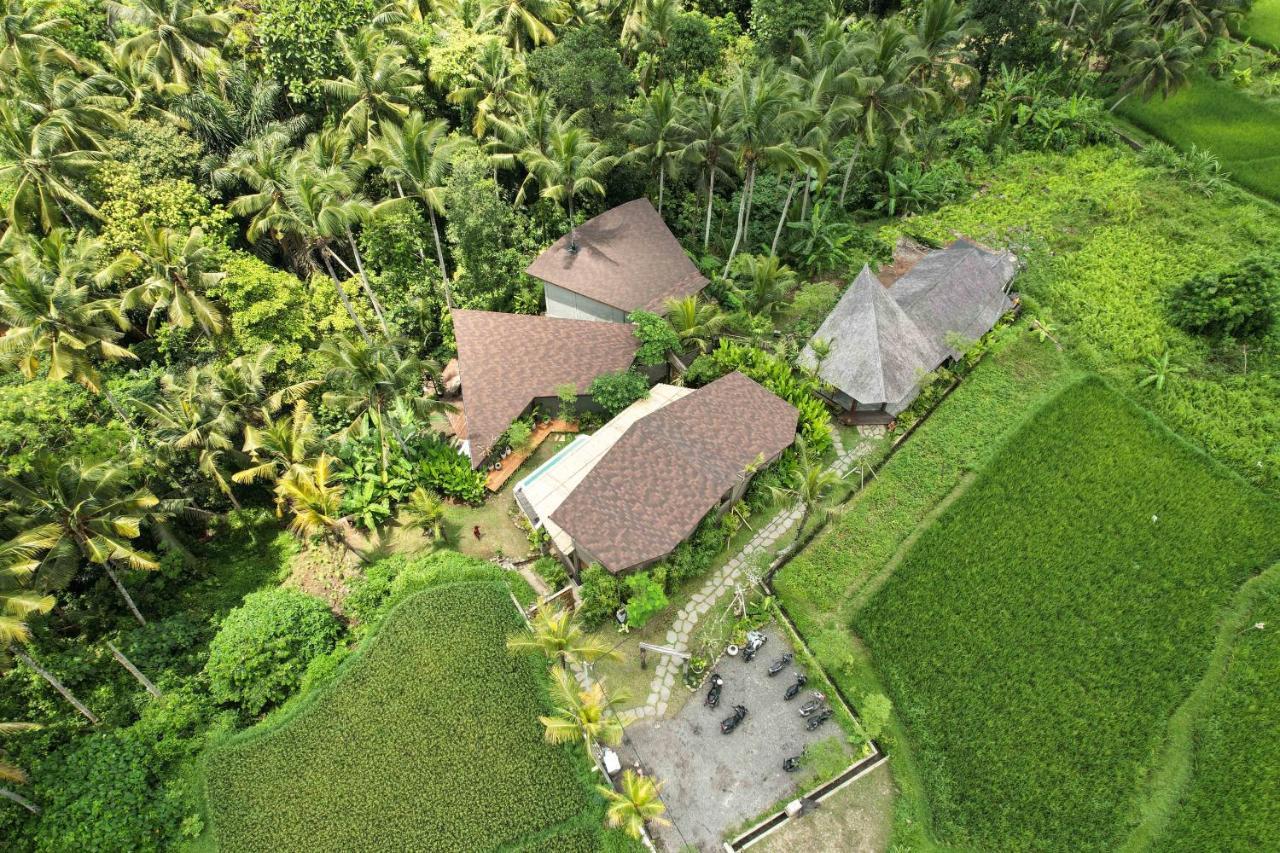 Casa Pohon Ubud Esterno foto